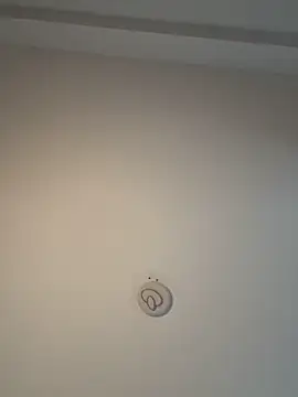 Andrestarr online show from February 8, 2026, 11:30 am