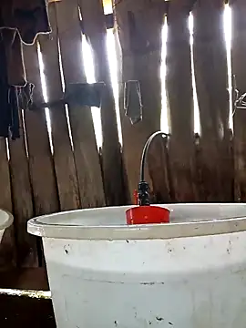 bonnie-00 online show from April 15, 2026, 5:35 am