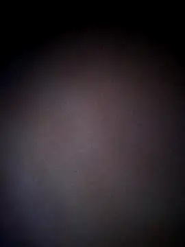 thehotlady online show from October 24, 2025, 8:46 am