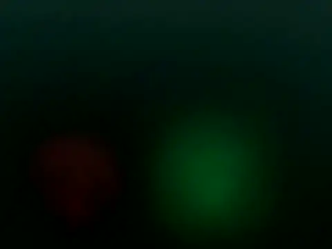 Snapshot of Eeraa- chatting on October 24, 2025, 4:55 am Eeraa- online show from October 24, 2025, 4:55 am