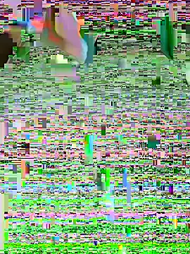 LenaZii online show from February 7, 2026, 5:26 am