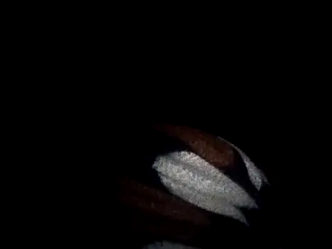 Snapshot of Naughty_gaurav chatting on September 17, 2025, 7:05 pm Naughty gaurav online show from September 17, 2025, 7:05 pm