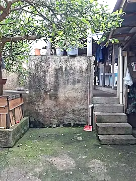 Snapshot of Bottz777 chatting on November 16, 2025, 11:37 am Bottz777 online show from November 16, 2025, 11:37 am