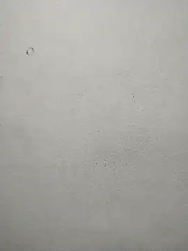 ms-naina online show from April 7, 2026, 5:04 pm