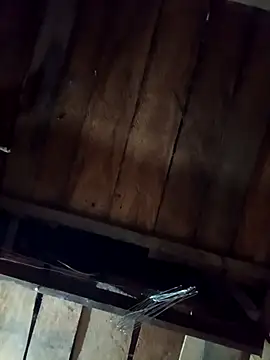 callistra online show from April 11, 2026, 2:10 pm