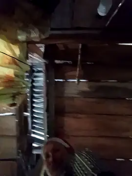 callistra online show from April 9, 2026, 4:36 am