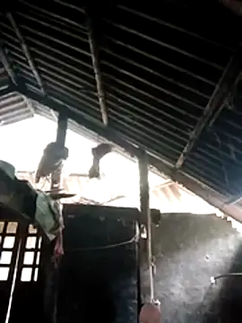 Snapshot of Biu_xx chatting on December 20, 2025, 12:57 am Biu xx online show from December 20, 2025, 12:57 am