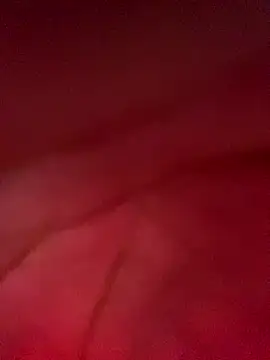 Snapshot of Fran-cisco1509 chatting on March 29, 2026, 9:27 pm Fran-cisco1509 online show from March 29, 2026, 9:27 pm