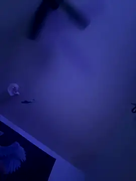 LeeDank online show from September 29, 2025, 6:53 am