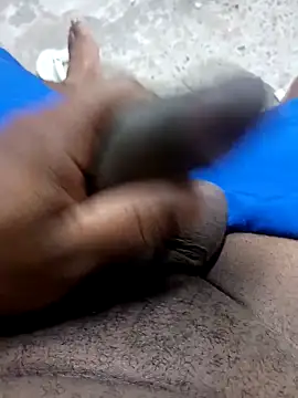 preto3561 online show from February 10, 2026, 2:16 pm