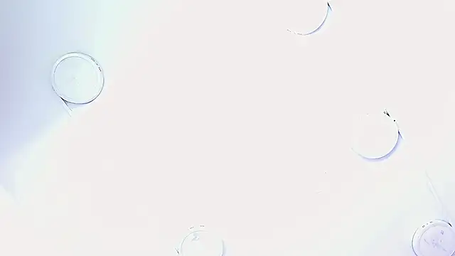  isa king  online show from November 13, 2025, 12:14 am