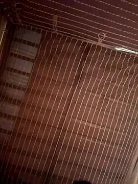 Snapshot of Tramy_xx chatting on October 21, 2025, 6:57 am Tramy xx online show from October 21, 2025, 6:57 am