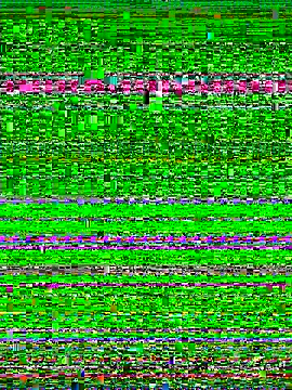 Halyy xx online show from November 5, 2025, 4:48 am