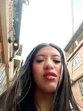 Snapshot of SALOME-28_ chatting on May 27, 2026, 3:52 pm SALOME-28 online show from May 27, 2026, 3:52 pm