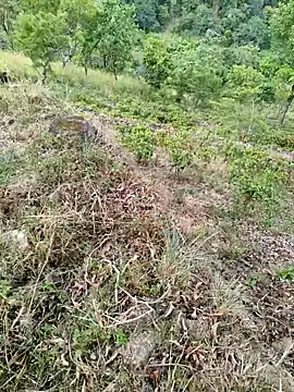 Snapshot of DICKLANKA chatting on September 23, 2025, 8:32 am DICKLANKA online show from September 23, 2025, 8:32 am