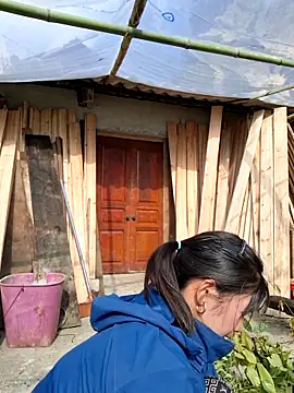 diamond-- online show from November 14, 2025, 7:23 am