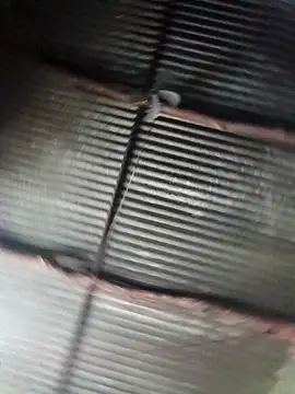 Haliya88 online show from September 23, 2025, 11:06 am