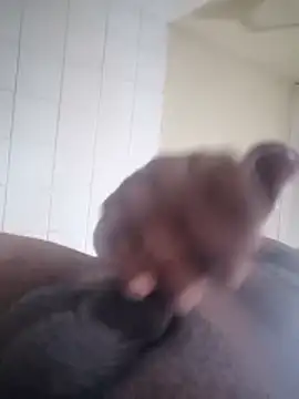 FUNNY 323 online show from March 19, 2026, 2:44 am