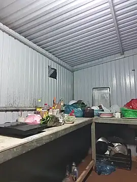 Helen-Tran online show from November 28, 2025, 12:05 pm