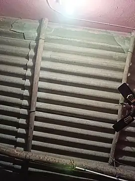 reya743 online show from November 15, 2025, 10:19 am