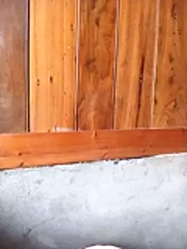 Mai lovely online show from February 27, 2026, 3:51 am