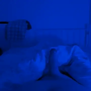 Geilerboy262 online show from November 20, 2025, 11:03 pm