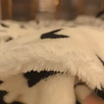 Geilerboy262 online show from November 15, 2025, 10:14 pm