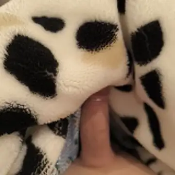 Geilerboy262 online show from November 21, 2025, 10:53 pm