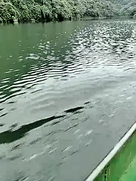 Lie liee online show from October 24, 2025, 1:26 am