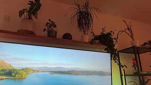 Passion-Frucht online show from November 21, 2025, 3:44 pm