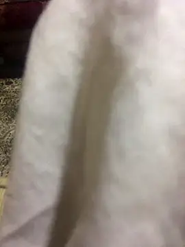 Yassesexy online show from October 4, 2025, 12:23 am