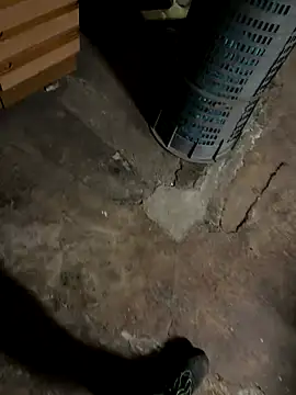 Snapshot of gptre chatting on October 4, 2025, 7:54 am gptre online show from October 4, 2025, 7:54 am