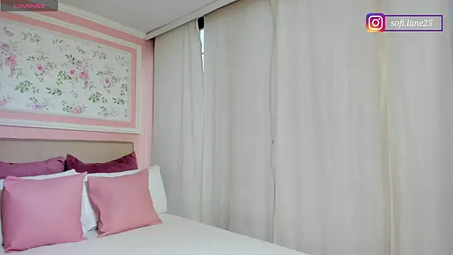 sofi laane online show from January 13, 2026, 11:47 am