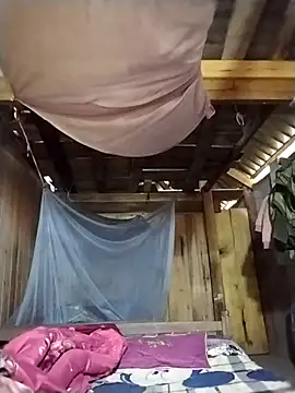 lmc-zz online show from October 21, 2025, 3:39 am