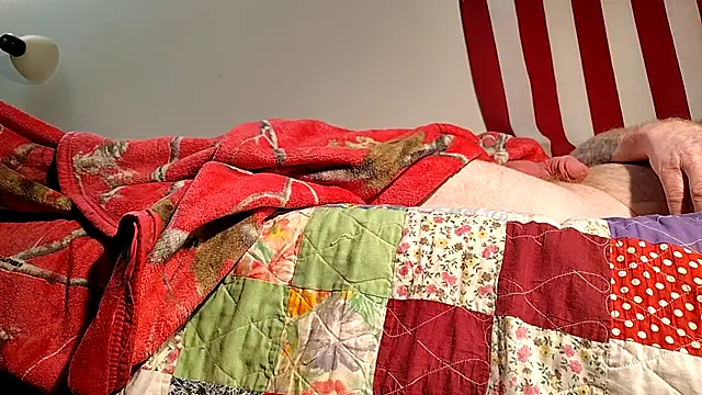 Snapshot of whitesmoothrod9 chatting on November 23, 2025, 5:17 am whitesmoothrod9 online show from November 23, 2025, 5:17 am