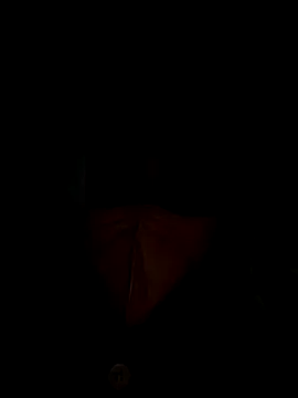 Snapshot of Liu30 chatting on November 28, 2025, 6:52 pm Liu30 online show from November 28, 2025, 6:52 pm