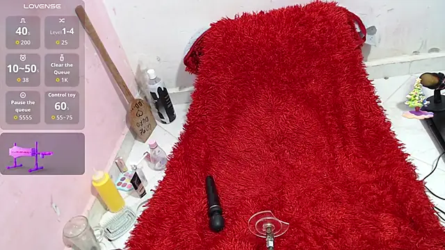 codorniz2025 online show from November 1, 2025, 9:58 am