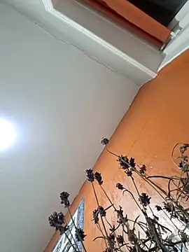 Hotboy-534 online show from March 25, 2026, 10:52 pm