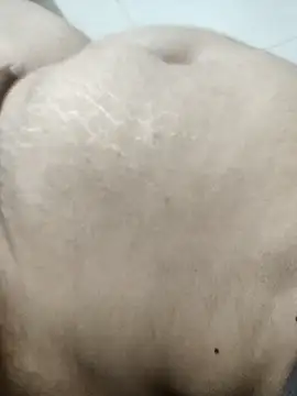 Sexy couple39 online show from November 20, 2025, 4:40 pm