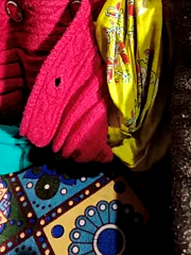 Your seema 208 online show from November 23, 2025, 4:28 pm