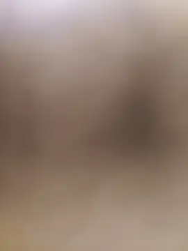 Your seema 208 online show from November 21, 2025, 3:22 pm