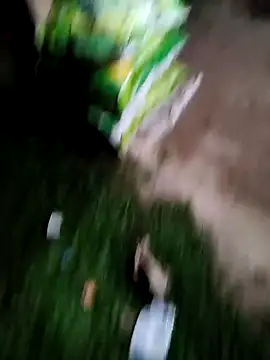 Your seema 208 online show from October 14, 2025, 12:06 pm