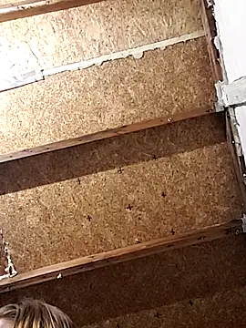 Queen2454 online show from March 6, 2026, 9:37 am