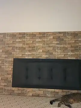 Snapshot of MysterySexx chatting on February 11, 2026, 11:04 pm MysterySexx online show from February 11, 2026, 11:04 pm