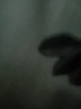 Mssbig online show from November 4, 2025, 11:36 am