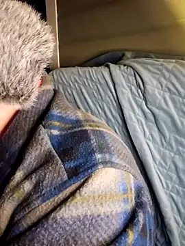 Snapshot of Budd_Bunney chatting on November 20, 2025, 12:44 am Budd Bunney online show from November 20, 2025, 12:44 am