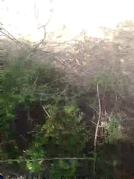 Aadityaaa07 online show from April 11, 2026, 8:40 am