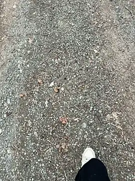 Snapshot of max22palm chatting on March 19, 2026, 3:23 pm max22palm online show from March 19, 2026, 3:23 pm