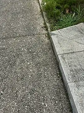 nanaisbackk online show from February 16, 2026, 2:37 pm