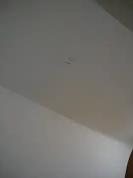 LindaSalo33 online show from December 21, 2025, 4:36 am